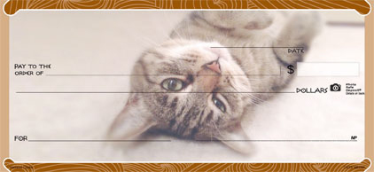 Cat's Meow 3