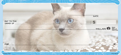 Cat's Meow 4