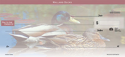 Wildlife Portraits 3