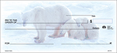 Arctic