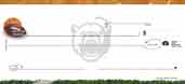 Baylor University- Sports